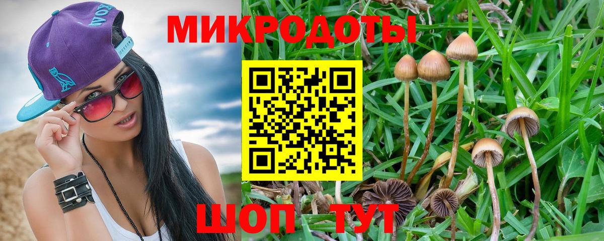 продажа наркотиков  Псилоцибиновые грибы ЛСД  Галлюциногенные грибы мицелий  Вход с VPN  Лабинск 